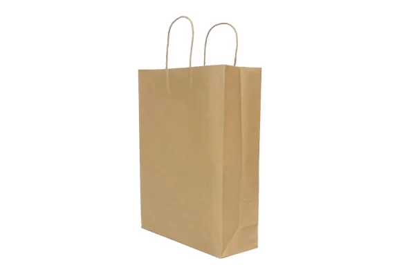 SMALL CARRY BAGS