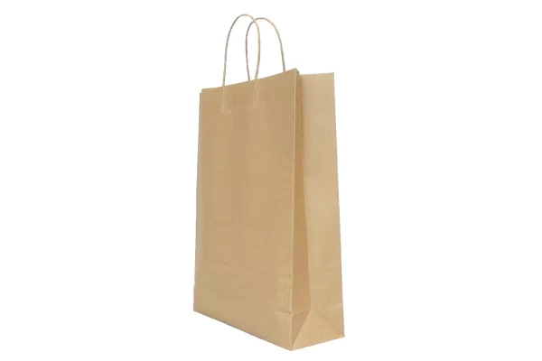 MEDIUM CARRY BAGS